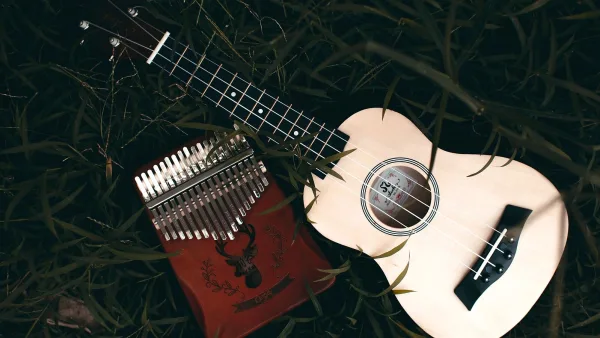 5 String Banjo: A Complete Buyer's Guide