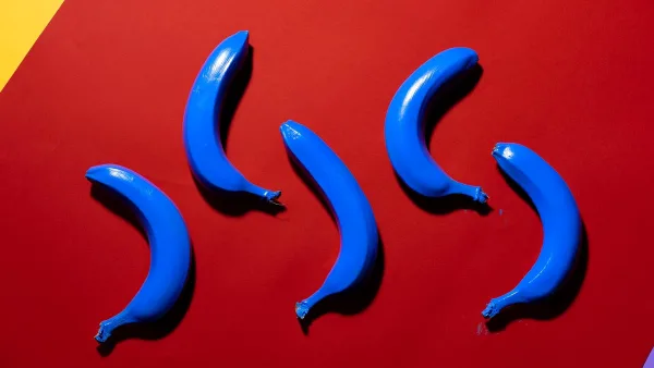A Beginner's Guide to Art Pop
