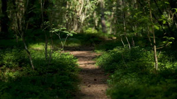 Ambient Music for Newcomers: Where to Start