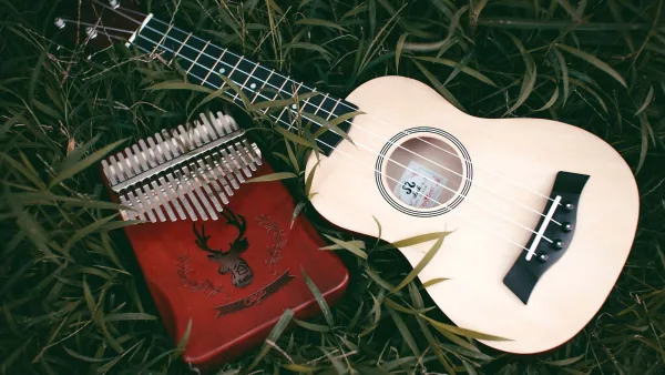 Autoharp: A Complete Buyer's Guide