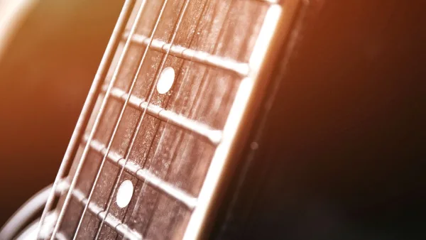 Autoharp Explained: Features, Types and Tips
