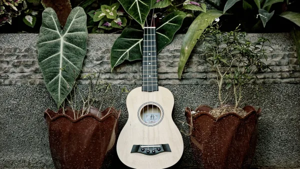 Baritone Ukulele: A Complete Buyer's Guide