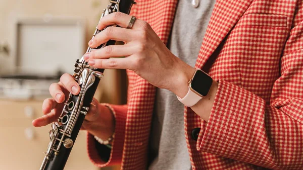 Bass Clarinet Clarinets: A Complete Buyer's Guide