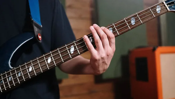 Bass Direct Warwick for Beginners: A Complete Guide
