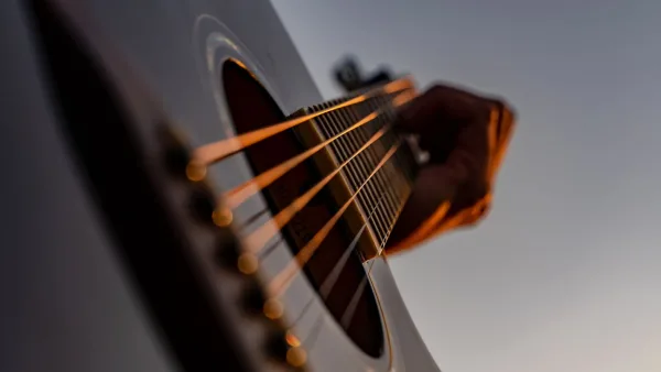 Bass Strings 5 String Explained: Features, Types and Tips