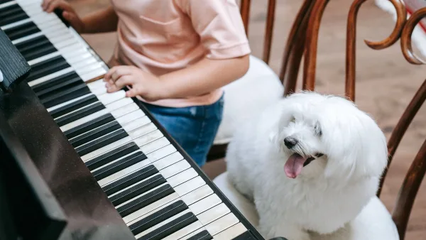 Chord Player for Beginners: A Complete Guide