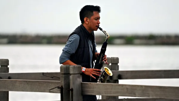 Clarinet Reeds: A Complete Buyer's Guide