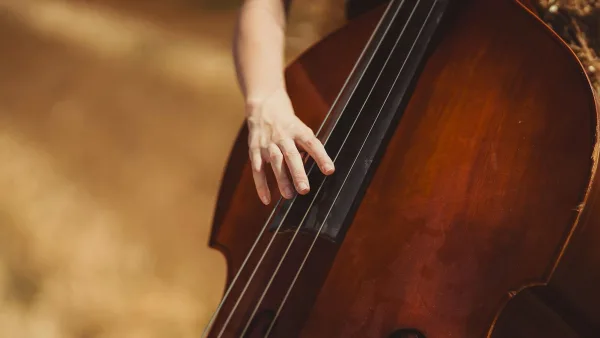 Common Fender Precision Bass Mistakes to Avoid