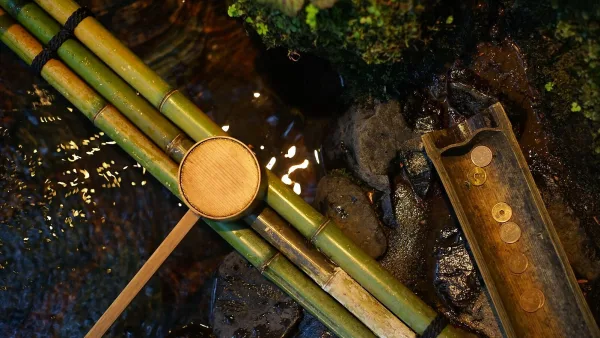 Common Koto Mistakes to Avoid