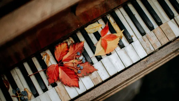 Common Piano with Labels Mistakes to Avoid