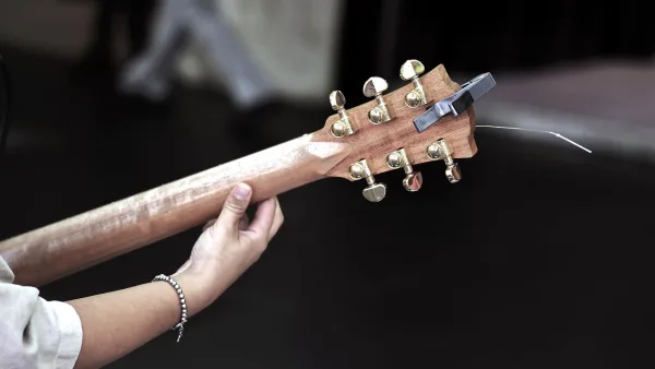 Common Rickenbacker Mistakes to Avoid