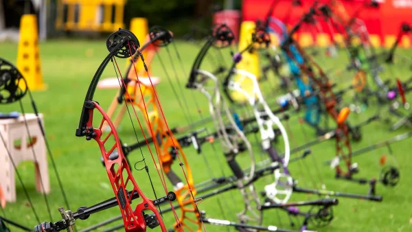 Electronic Bow: A Complete Buyer's Guide