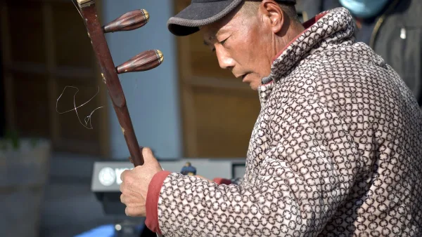 Erhu Explained: Features, Types and Tips