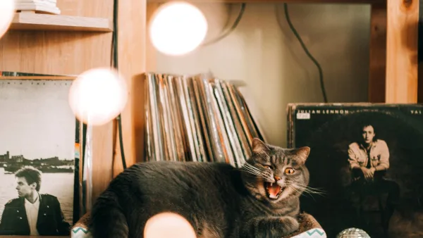 Essential Acid Jazz Albums Explained