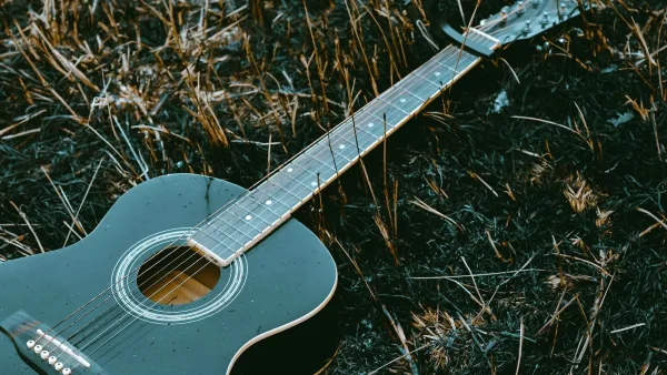 Essential Bluegrass Albums Explained