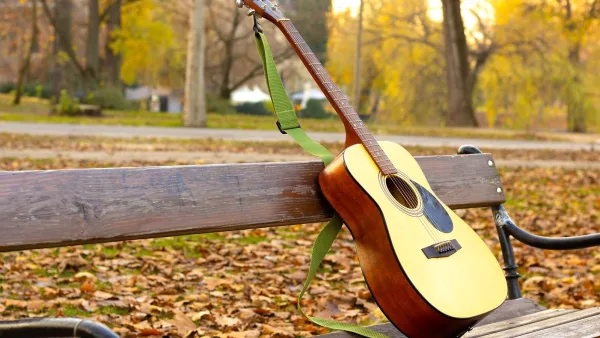 Guitar Neck: A Complete Buyer's Guide