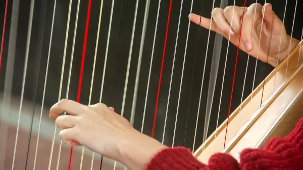 Harp Explained: Features, Types and Tips