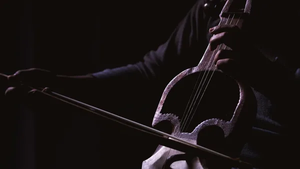 How to Set Up and Use 5 String Banjo