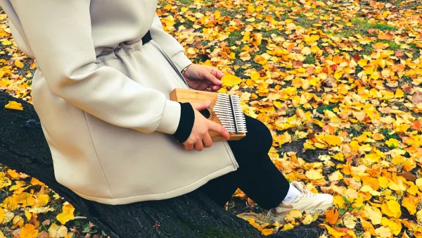 Kalimba for Beginners: A Complete Guide