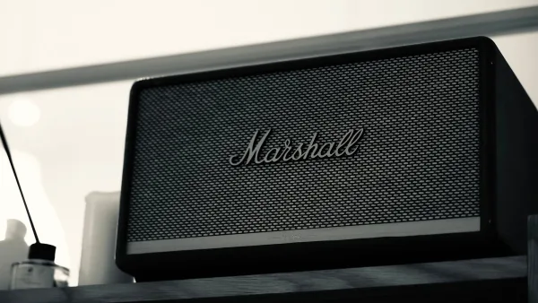 Marshall Speaker Explained: Features, Types and Tips