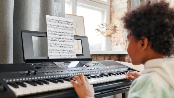 Moog Muse for Beginners: A Complete Guide