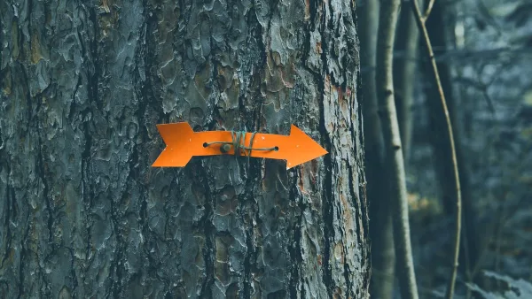 Orange 20 Rt: A Complete Buyer's Guide
