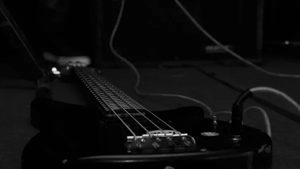 Rickenbacker Electric Bass Guitar: A Complete Buyer's Guide