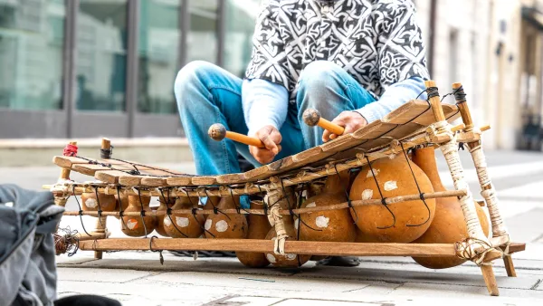 Samba Music Instruments: A Complete Buyer's Guide