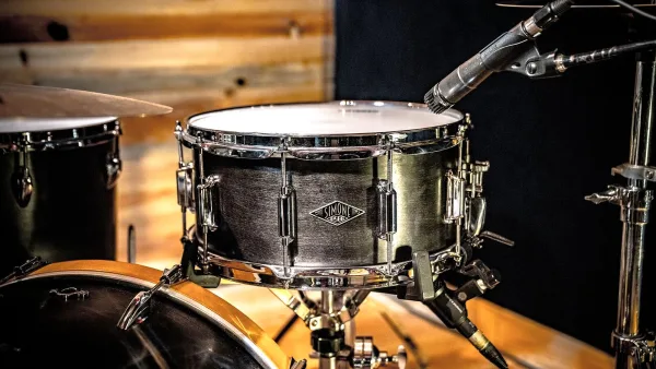 Snare Drum Snares: A Complete Buyer's Guide