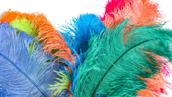 Soca Subgenres, Explained