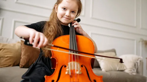 Stentor Violin for Beginners: A Complete Guide