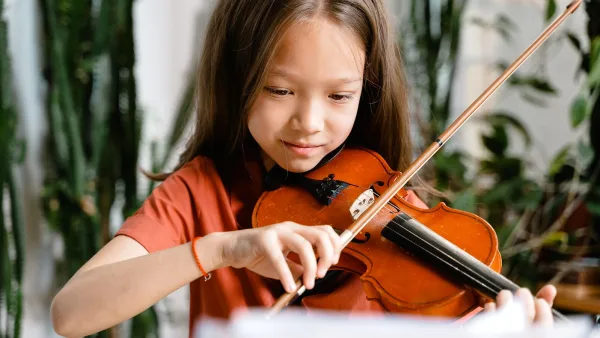 Stradivarius Violin for Beginners: A Complete Guide
