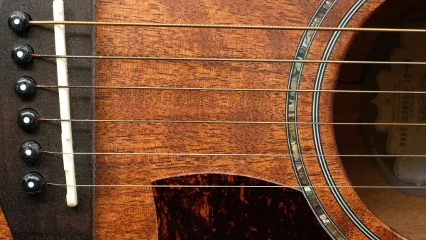 Tanglewood Explained: Features, Types and Tips
