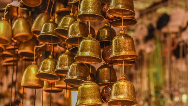 The Best Agogo Bells for the Money
