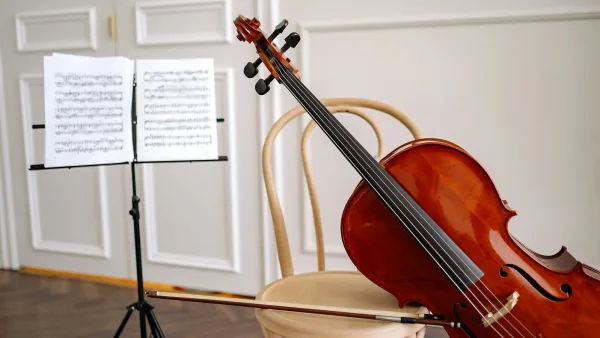 The Best Cello Strings for the Money