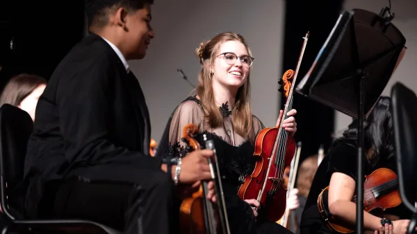 The Best Cor Anglais Instruments for the Money