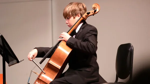 The Best Electric Cellos for the Money