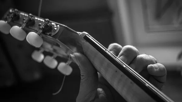 The Best Frets for the Money