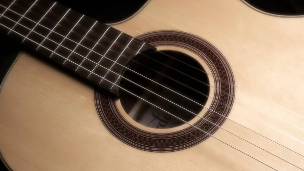 The Best Guitar Nylons for the Money