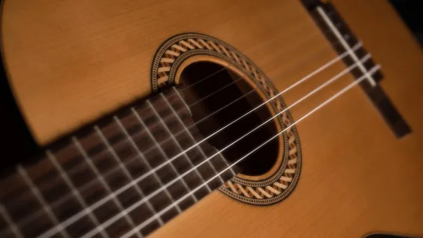 The Best Guitar Ukulele Strings for the Money