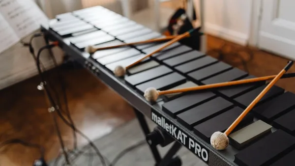 The Best Marimbas for the Money