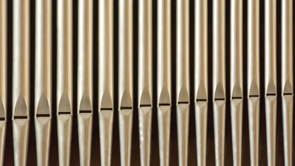 The Best Melodicas for the Money
