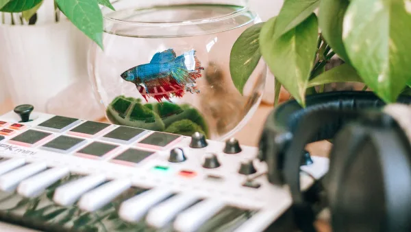 The Best Native Instruments for the Money