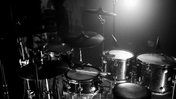 The Best Snare Drum Snares for the Money