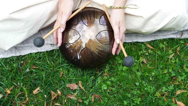 The Best Steel Tongue Drums for the Money