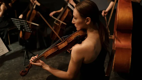 The Best String Instruments Violas for the Money