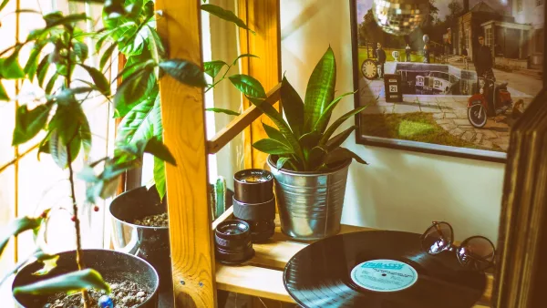 The History of Jungle Music