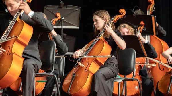 The Ultimate Guide to Electric Cellos
