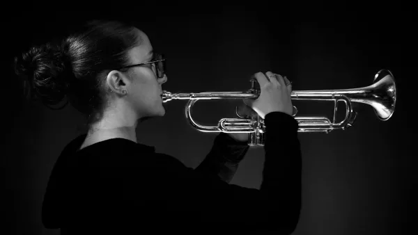 Trumpet Mute: A Complete Buyer's Guide