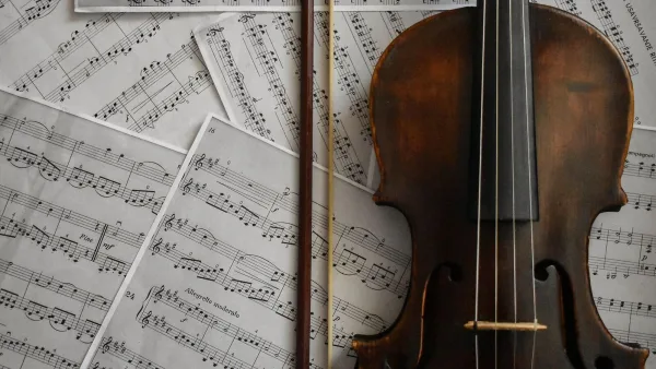 Tuning a Fiddle Explained: Features, Types and Tips